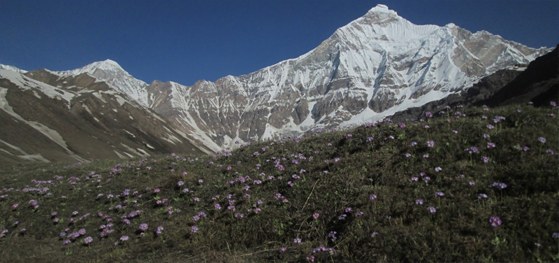 Trekking in Nanda Devi